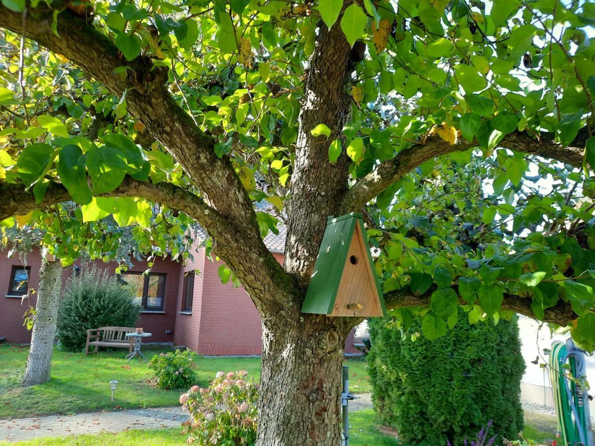 Das Kleine, Gemuetliche Ferienhaus Ludorf Eksteriør billede